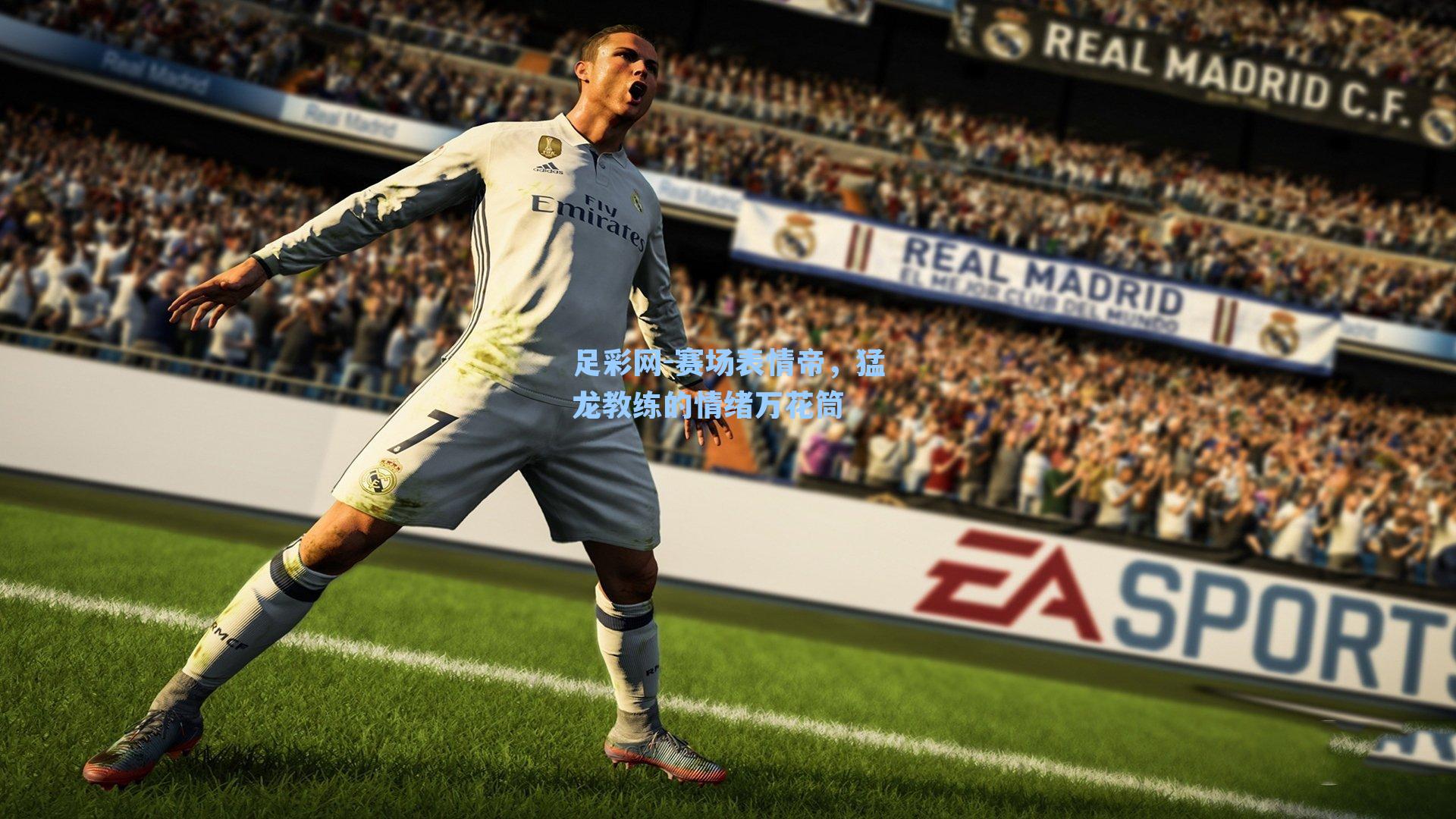 赛场表情帝,猛龙教练的情绪万花筒