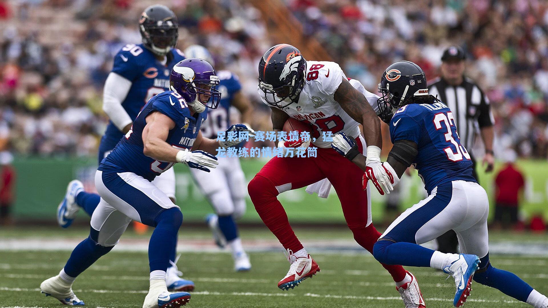 赛场表情帝,猛龙教练的情绪万花筒