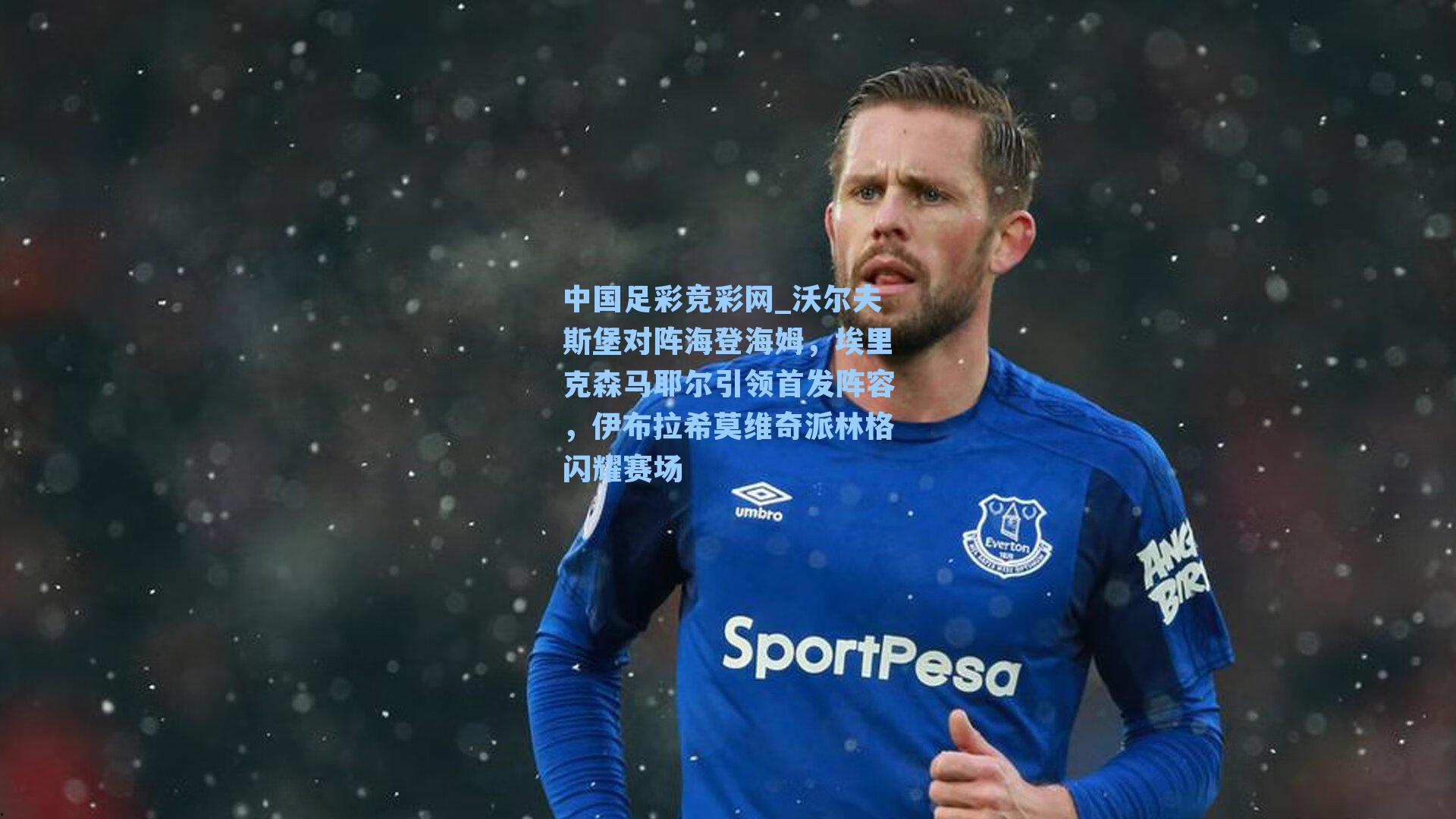 沃尔夫斯堡对阵海登海姆，埃里克森马耶尔引领首发阵容，伊布拉希莫维奇派林格闪耀赛场