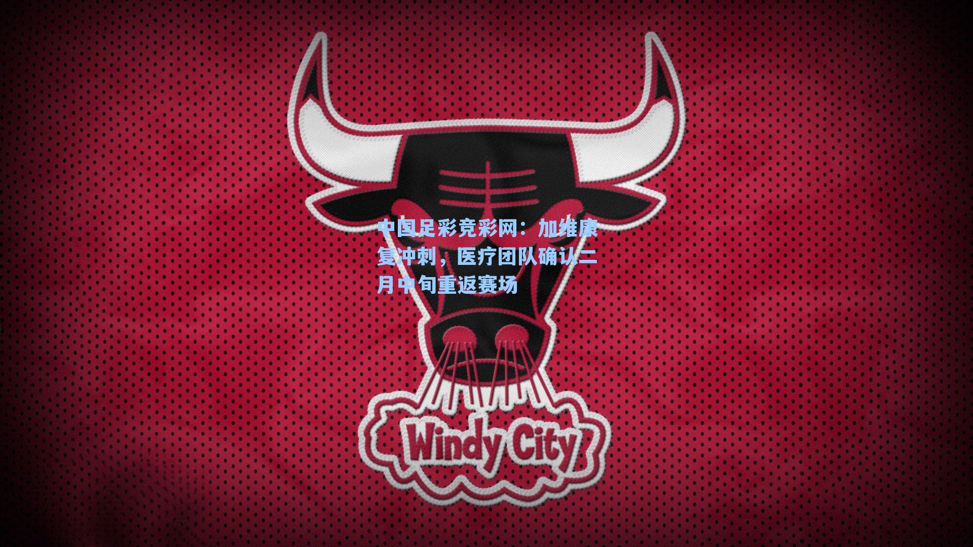 加维康复冲刺,医疗团队确认二月中旬重返赛场